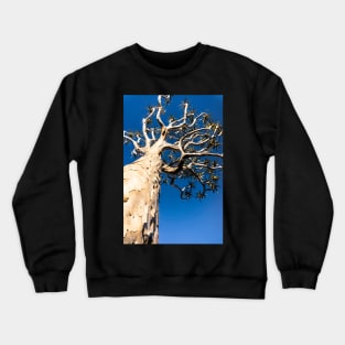 Quiver tree. Crewneck Sweatshirt